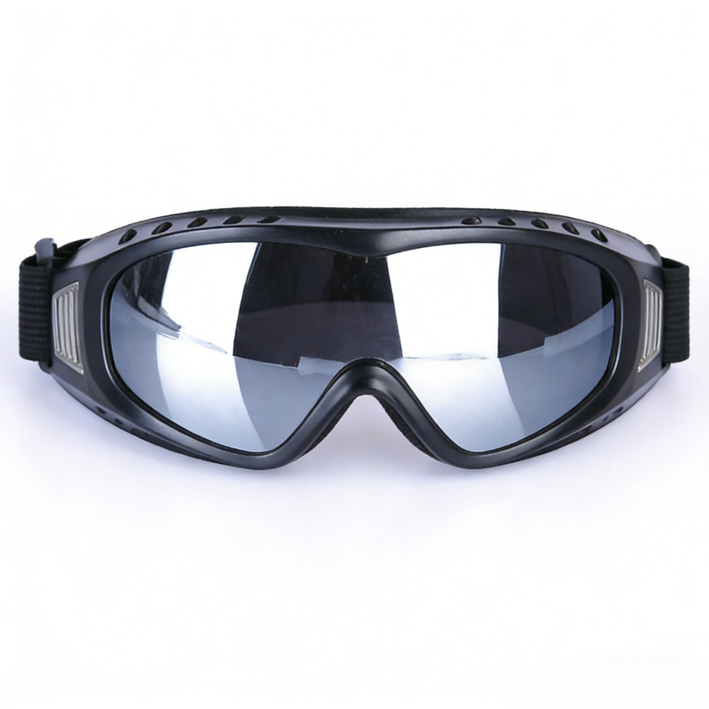 Ski goggles